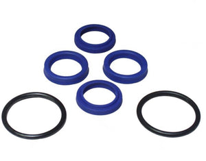Cascade Replacement Seal Kit 219868 | Fits 55F-SSS-A071