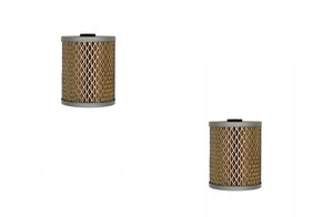 Oil Filter Pack of 2 835817M1 fits Massey Ferguson 40 TO30 135 150 88 85 65 35