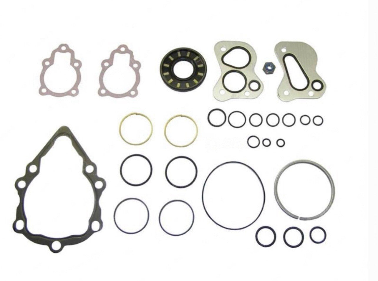 Genie 29739 29739GT Overhaul Seal Kit Hydrostatic Pump | Drive / Steer