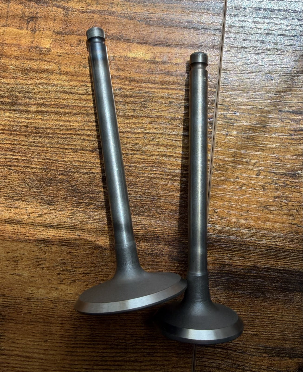 Forklift Mazda F2 Intake & Exhaust Valves 1361725 1361720 | Set of 8