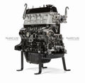 NEW TOYOTA 4Y ENGINE LONG BLOCK MOTOR COMPLETE FORKLIFT | 19000-78164-71