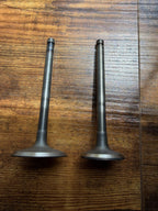 Forklift Mazda F2 Intake & Exhaust Valves 1361725 1361720 | Set of 8