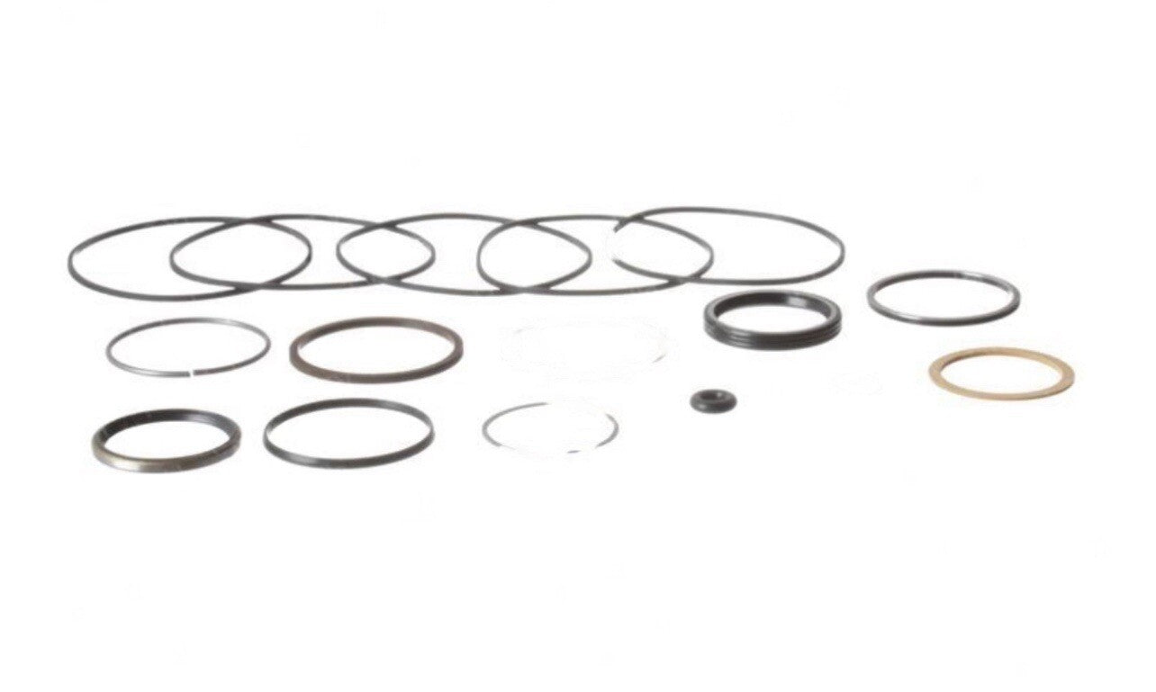 Skyjack 310568, SEAL KIT- HYDRAULIC MOTOR FOR 310545, SJIII3219