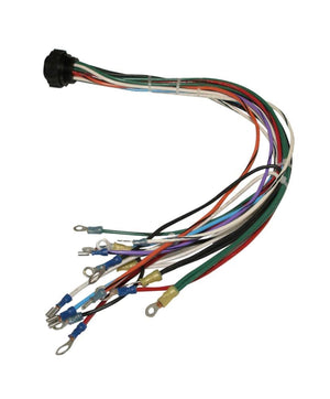 Taylor Dunn Control Panel Harness 75-148-25